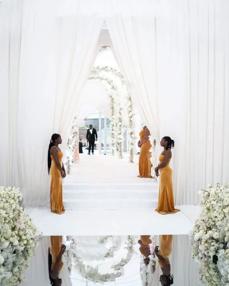 Animwaa : Ernest Chemist Daughter Weds in Glamor